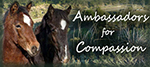 Ambassadors for Compassion